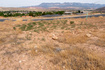 Photo 3 for 346 N 250 E