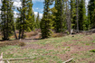 Photo 2 for 1913 E 2175 S