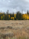 Photo 6 for 2133 E 2100 S