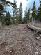 Photo 2 for 1272 N Aspen Dr