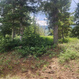 Photo 5 for 1272 N Aspen Dr