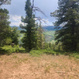 Photo 1 for 1272 N Aspen Dr