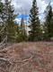 Photo 3 for 1272 N Aspen Dr