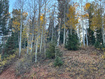 Photo 3 for 660 W Ski View Dr