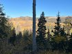Photo 4 for 660 W Ski View Dr