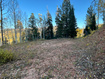 Photo 6 for 660 W Ski View Dr