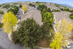 Photo 6 for 14073 S Chardonnay Way