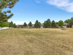 Photo 2 for 10764 S Pine Grove Way