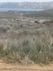 Photo 5 for 3113 S Bunch Grass Dr