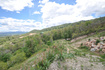 Photo 4 for 2292 N Panorama Cir