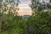 Photo 2 for 11328 E Columbine Ln #1643