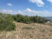 Photo 2 for 225  Ridgetop West