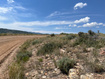 Photo 4 for 225  Ridgetop West