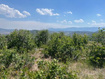 Photo 1 for 225  Ridgetop West