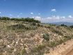 Photo 6 for 225  Ridgetop West