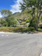 Photo 4 for 7657 S Avondale Dr