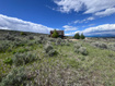 Photo 6 for 3483 S Badger Cir