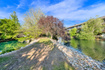 Photo 6 for 4720 S Woodduck Ln