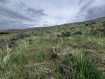 Photo 1 for 315 E 100 N