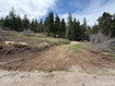 Photo 4 for 10  Ranch Rd