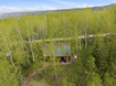 Photo 6 for 11356 E Columbine Ln #1644