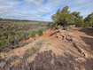 Photo 6 for 1500 W Stagecoach Rd #39s