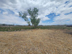Photo 6 for 1202 W 5400 N