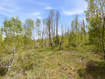 Photo 4 for 23133 E Alta Dr