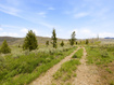 Photo 6 for 23133 E Alta Dr