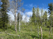 Photo 3 for 1798 W Alexander Rd