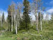 Photo 4 for 1798 W Alexander Rd