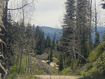 Photo 1 for 1798 W Alexander Rd