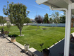 Photo 6 for 4032 W Red Tail Dr