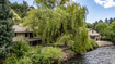 Photo 1 for 1365  Sumac Dr