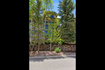 Photo 6 for 670  Deer Valley Loop Rd #9