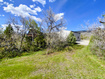 Photo 5 for 9590 E Ridge Pine Dr