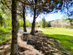 Photo 6 for 9590 E Ridge Pine Dr
