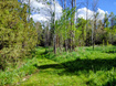 Photo 3 for 9590 E Ridge Pine Dr