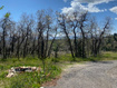 Photo 6 for 209  Porcupine Loop