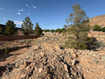 Photo 2 for 737 E Red Sands Dr