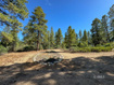 Photo 1 for 11630 W Cedar Rd
