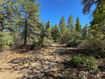 Photo 4 for 11630 W Cedar Rd