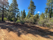 Photo 3 for 11630 W Cedar Rd