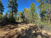 Photo 5 for 11630 W Cedar Rd
