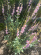 Photo 3 for 7211 S 2980 E