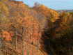 Photo 2 for 135  J Quaking Aspen Dr