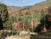 Photo 1 for 135  J Quaking Aspen Dr