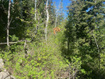 Photo 4 for 135  J Quaking Aspen Dr