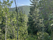 Photo 6 for 135  J Quaking Aspen Dr
