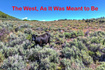 Photo 2 for 1646 N Miles Hollow Rd
